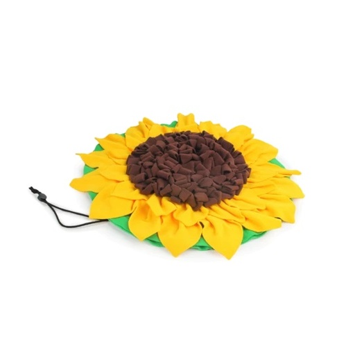 [AFPH06079] Sonnenblumen Schnüffelteppich